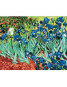 P4287,Set pictura pe numere 40x50cm, Brushme - Irisi - Van Gogh - pensule, culori, BS51339