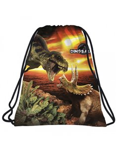 Set scoala DINOZAUR - Ghiozdan ergonomic + Sac incaltaminte, Derform 2