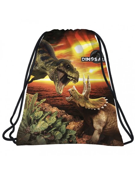 Set scoala DINOZAUR - Ghiozdan ergonomic + Sac incaltaminte, Derform