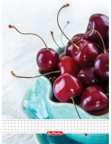 9464990,Caiet Herlitz A5 70F Spirala Patratele Fructe - Economic