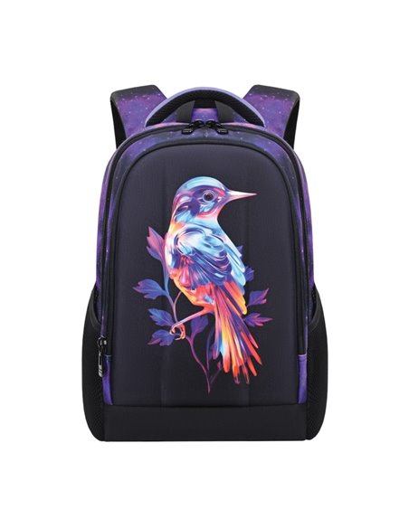 Ghiozdan ergonomic BIRD, 40x29x14 cm - S-COOL