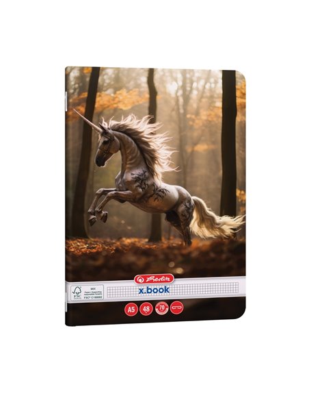 Set 10 x Caiet matematica Herlitz A5, 48 file, 70g/mp, colturi rotunjite, Motiv Unicorn