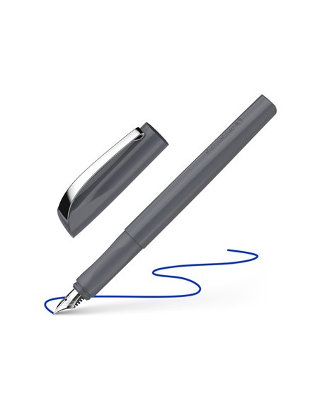 Stilou Schneider Ceod color, Stone