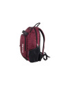 SD-SKG266,Ghiozdan Pulse Scate 122233, Motiv Red Wine