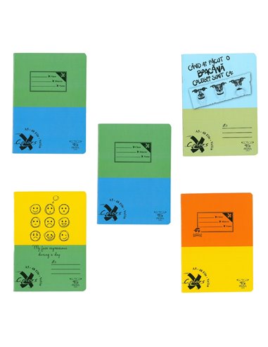 Set 5 x Caiet Pigna A5, 48 de file, Velin Basic, Baieti