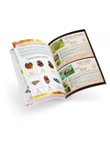 Jucarie educativa, Terariu