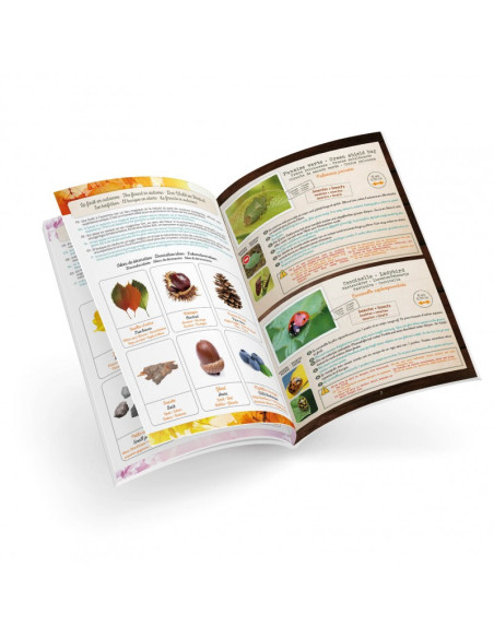 Jucarie educativa, Terariu