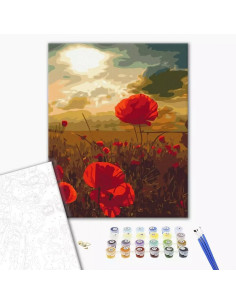 P4261,Set Pictura pe numere 40x50cm, Brushme - Camp cu maci - panza, cadru de lemn, pensule, culori acrilice, BS51961