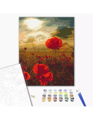 P4261,Set Pictura pe numere 40x50cm, Brushme - Camp cu maci - panza, cadru de lemn, pensule, culori acrilice, BS51961