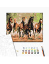 P4266,Set pictura pe numere 40x50cm, Brushme - Herghelie de cai - pensule, culori, BS8288