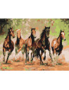 P4266,Set pictura pe numere 40x50cm, Brushme - Herghelie de cai - pensule, culori, BS8288