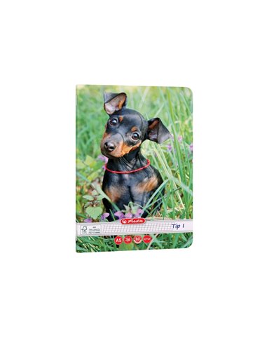 Caiet Tip I Herlitz A5, 36 file, 80g/mp, colturi rotunjite, Motiv Cats & Dogs
