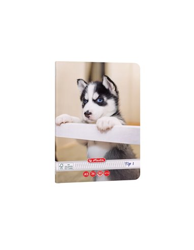 Caiet Tip I Herlitz A5, 36 file, 80g/mp, colturi rotunjite, Motiv Cats & Dogs