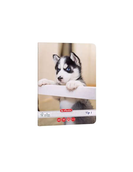 Caiet Tip I Herlitz A5, 36 file, 80g/mp, colturi rotunjite, Motiv Cats & Dogs