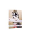 Caiet Tip I Herlitz A5, 36 file, 80g/mp, colturi rotunjite, Motiv Cats & Dogs