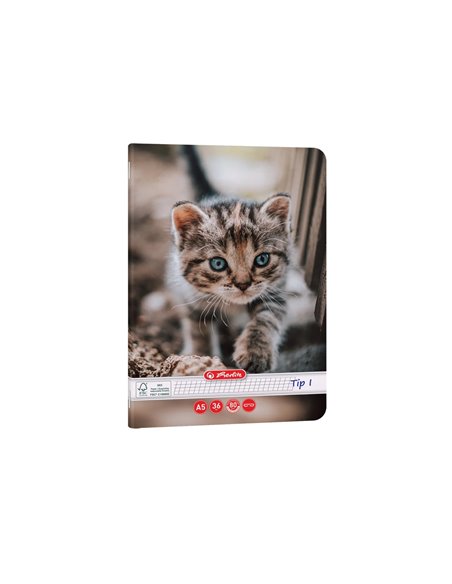 Caiet Tip I Herlitz A5, 36 file, 80g/mp, colturi rotunjite, Motiv Cats & Dogs