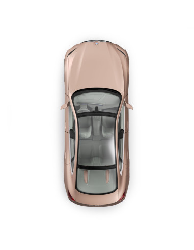 Ras98300,Masina Cu Telecomanda Bmw I4 Concept Scara 1 La 14