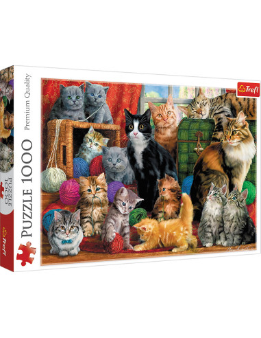 VV-10555,Puzzle Trefl 1000 Intalnirea Pisicutelor
