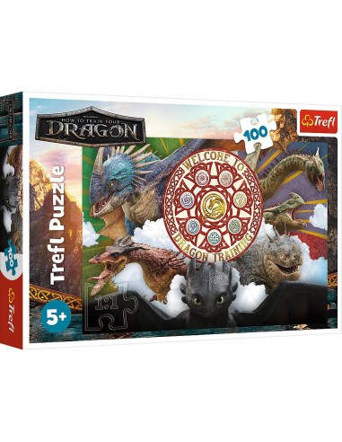 VV-16524,Puzzle Trefl 100 Cum Sa Iti Dresezi Dragonul Dragoni In Actiune