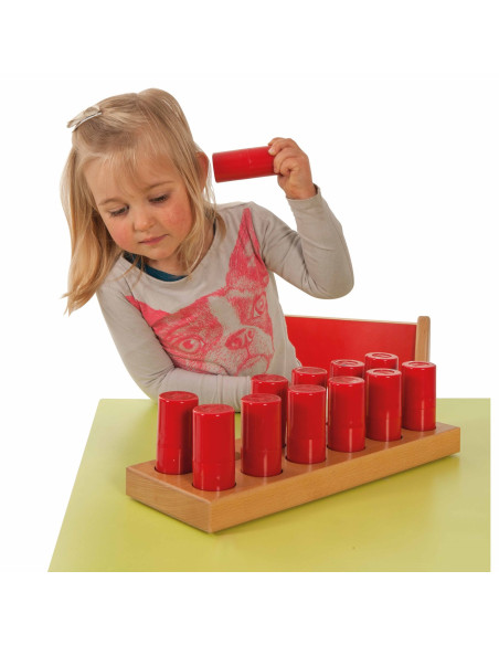 E522806,Joc de memorie cu sunete