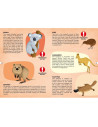 978-88-303-0594-6,Cunoaste si exploreaza - Puzzle Animale pe cale de disparitie (205 piese)