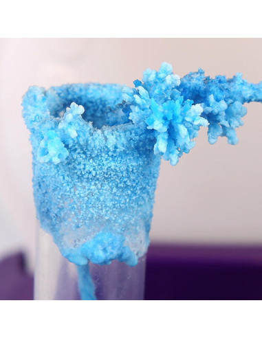 1204702024ig0002,Super laboratorul experimentelor cu bule