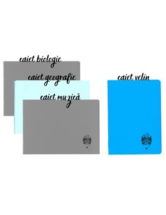 Set caiete Daco coperta plastic - Muzica + Biologie + Geografie + Velin, Baieti