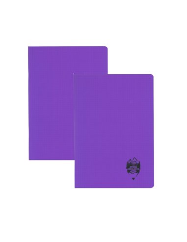Set 2 caiete DACO A5, 100 file, 70g/mp, matematica, coperta plastic, Mov