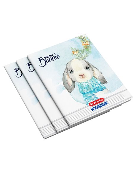 Vocabular A6 Herlitz, 24 File, 70 g/mp, Diverse Motive