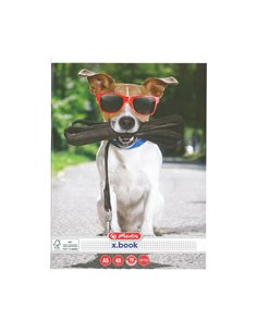 Caiet Herlitz A5, 48 file, 70 g/mp, matematica, colturi rotunjite, Motiv cool dog