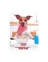 Caiet Herlitz A5, 48 file, 70 g/mp, matematica, colturi rotunjite, Motiv cool dog