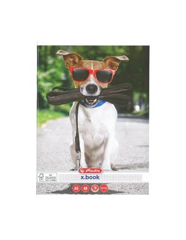 Set 10 caiete Herlitz A5, 48 file, 70 g/mp, matematica, colturi rotunjite, Motiv cool dog