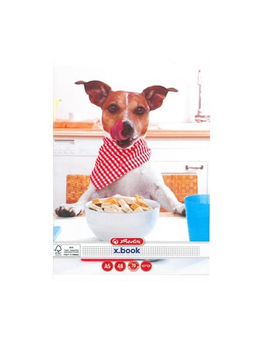Set 10 caiete Herlitz A5, 48 file, 70 g/mp, matematica, colturi rotunjite, Motiv cool dog