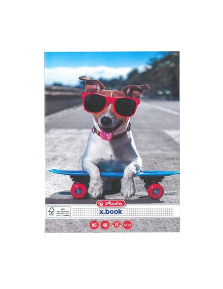 Set 10 caiete Herlitz A5, 48 file, 70 g/mp, matematica, colturi rotunjite, Motiv cool dog