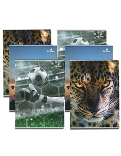 Set 6 caiete A4 Ecada, 60 file, 60 g/mp, matematica, Baieti