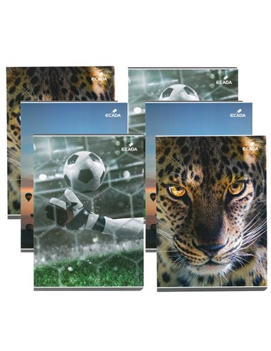 Set 6 caiete A4 Ecada, 60 file, 60 g/mp, matematica, Baieti
