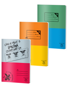 CC-A548M00,Caiet Pigna A5 Basic, 48 file, Matematica