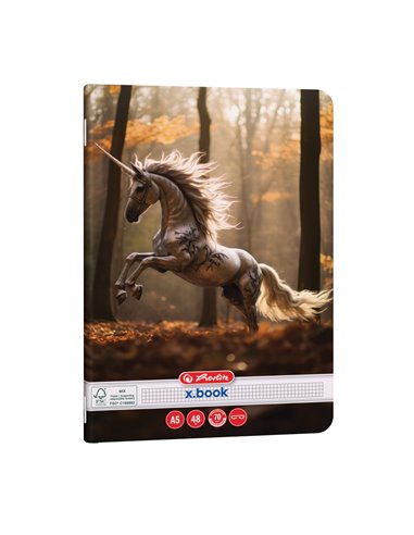 Caiet Herlitz A5, 48 file, 70 g/mp, matematica, Motiv unicorn