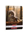 Caiet Herlitz A5, 48 file, 70 g/mp, matematica, Motiv unicorn