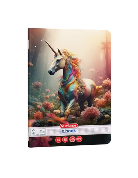 Caiet Herlitz A5, 48 file, 70 g/mp, matematica, Motiv unicorn