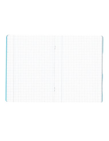 Caiet Herlitz A5, 48 file, 70 g/mp, matematica, coperta plastic, Verde 