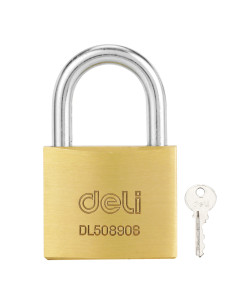 DLEDL508906,Lacat alama 50mm deli