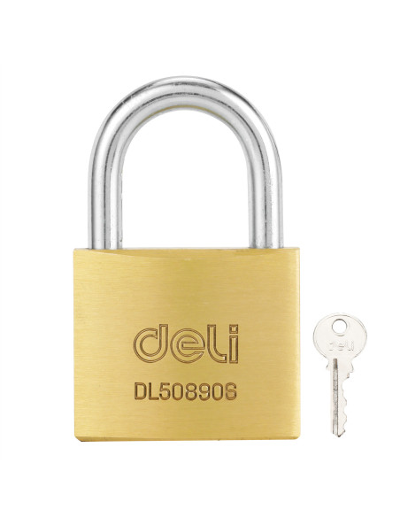 DLEDL508906,Lacat alama 50mm deli