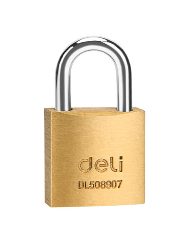 DLEDL508907,Lacat alama 20mmm deli