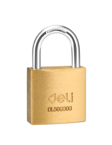 DLEDL508908,Lacat alama 30mm deli
