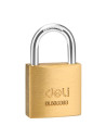 DLEDL508908,Lacat alama 30mm deli