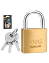 DLEDL508908,Lacat alama 30mm deli