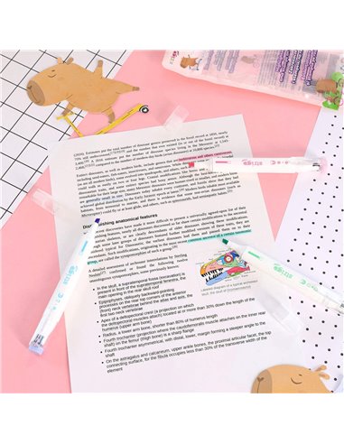 Set 3 evidentiatoare 2 in 1 cu stampila Strigo SSC491, Motiv capybara