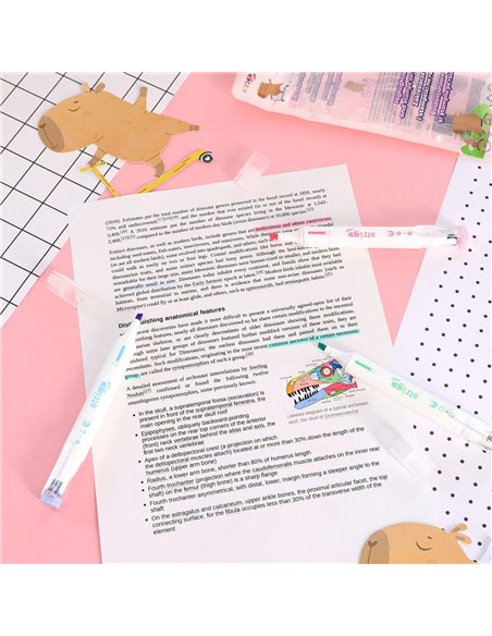 Set 3 evidentiatoare 2 in 1 cu stampila Strigo SSC491, Motiv capybara