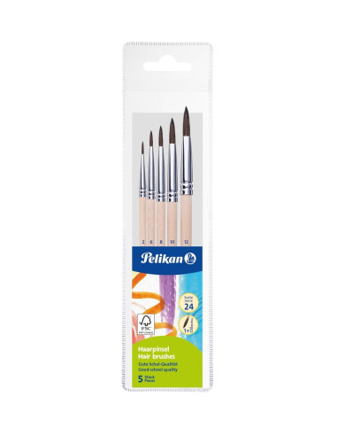Set 5 pensule starter (seria 24: 2, 4, 8, 10, 12), prezentare pe blister